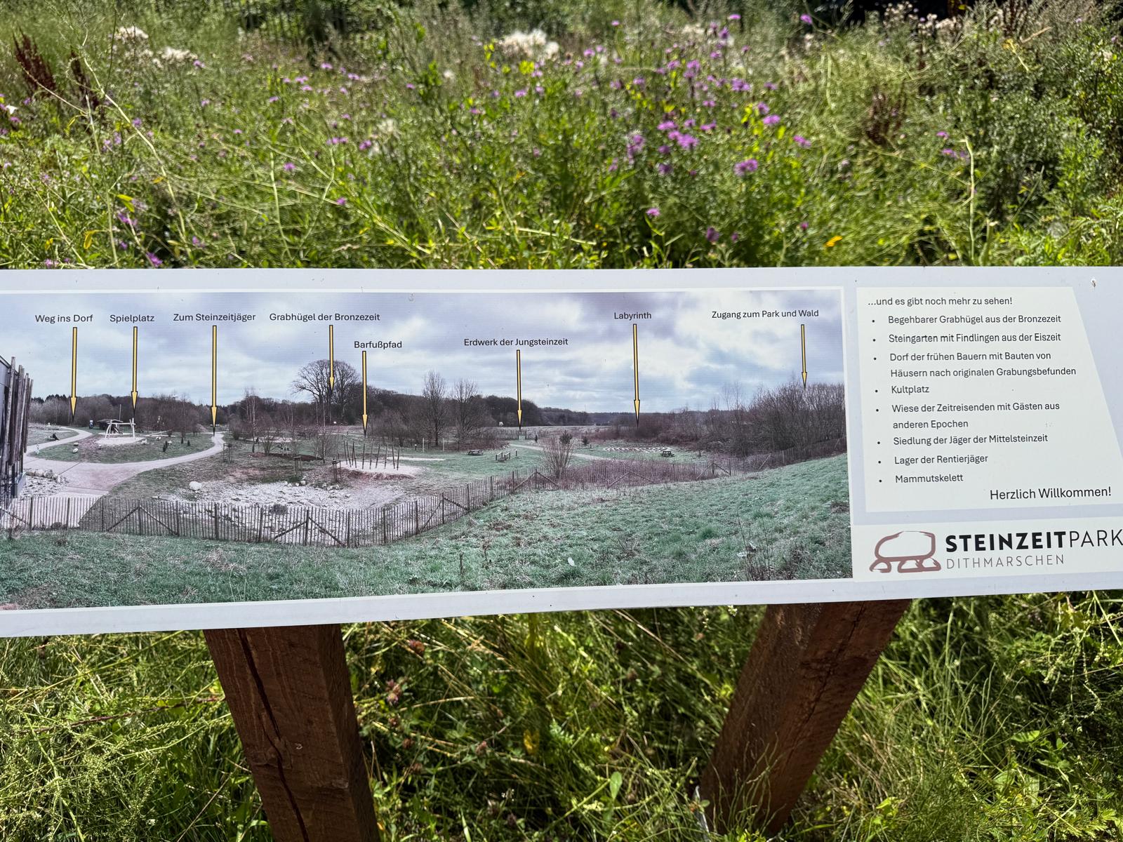 Infotafel des Steinzeitparks Dithmarschen mit Blick auf den Park
